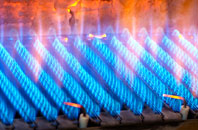 Goseley Dale gas fired boilers